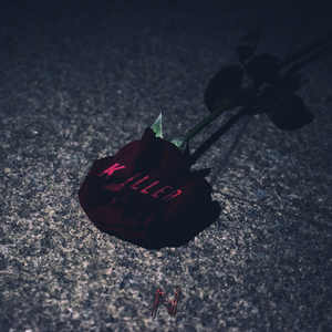 欧美亚洲精品无🈚视屏
